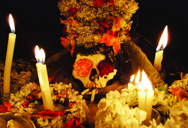 La Misk’icha llegó desde Nazca.