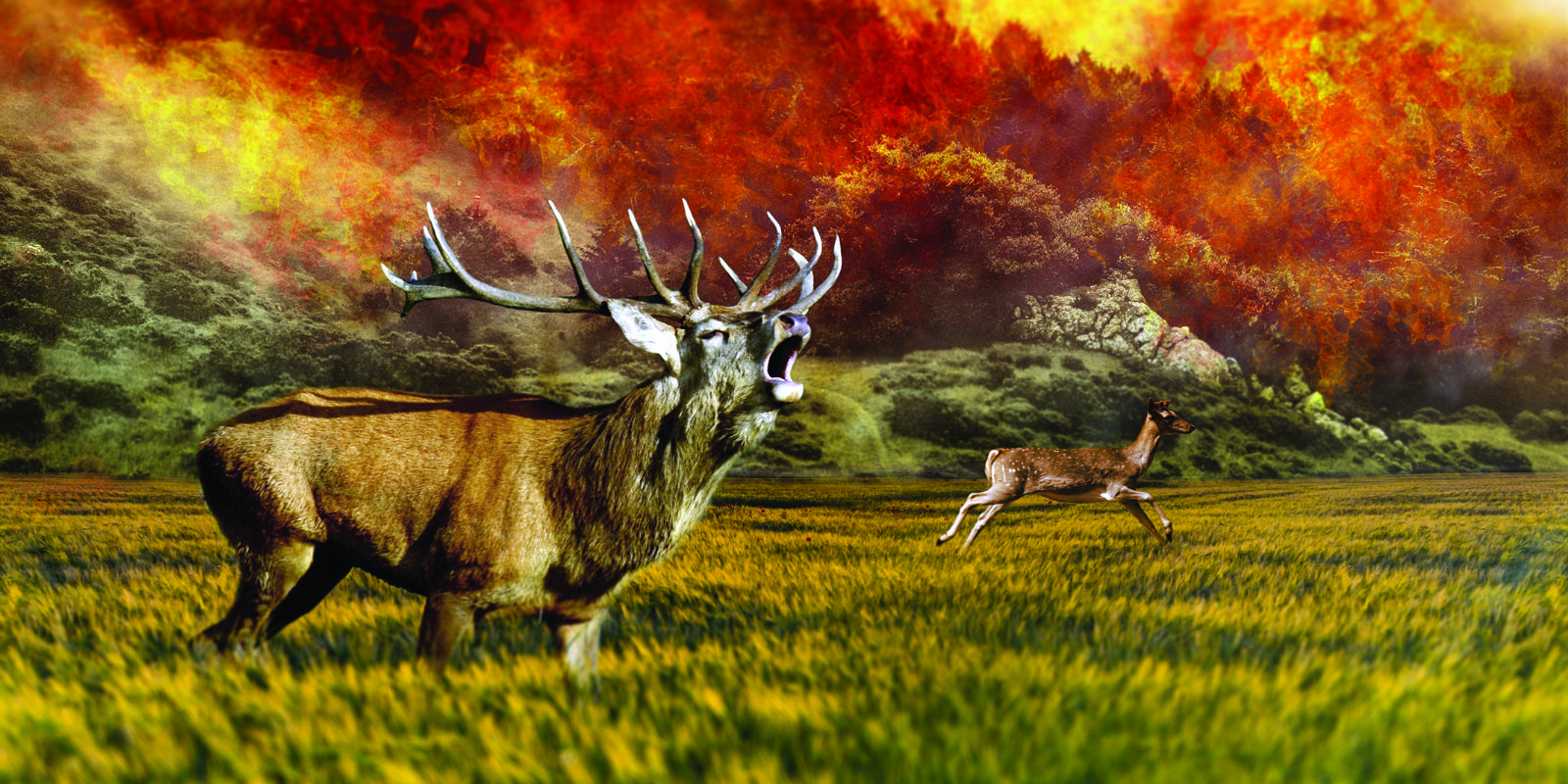 Portada El Perezoso y la hoguera