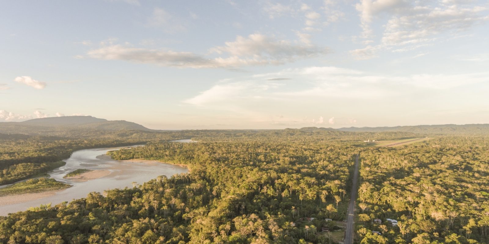 Evitar deforestación