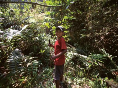 Un guía de diez años para llegar al incendio