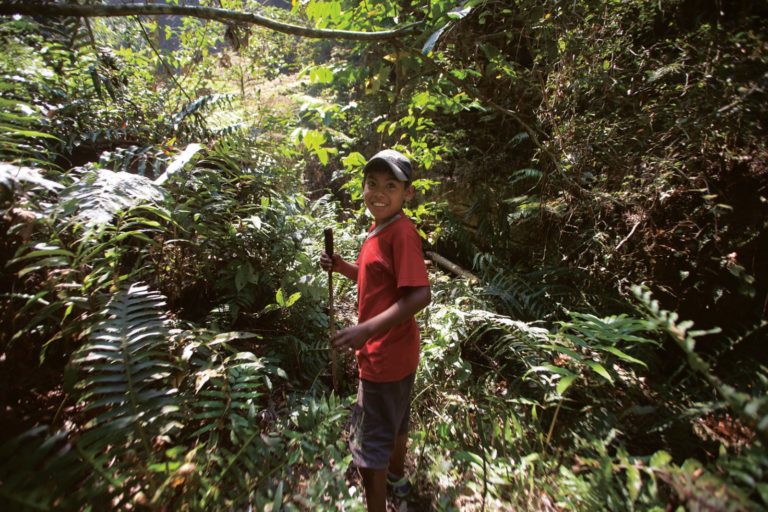 Un guía de diez años para llegar al incendio