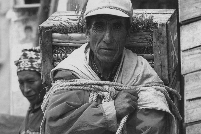 El aparapita miniatura