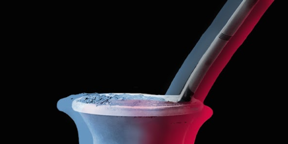 Ilustración CAMILA ECHEVERRIA.