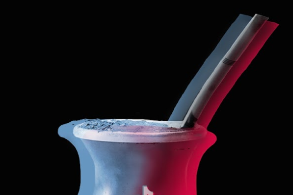 Ilustración CAMILA ECHEVERRIA.