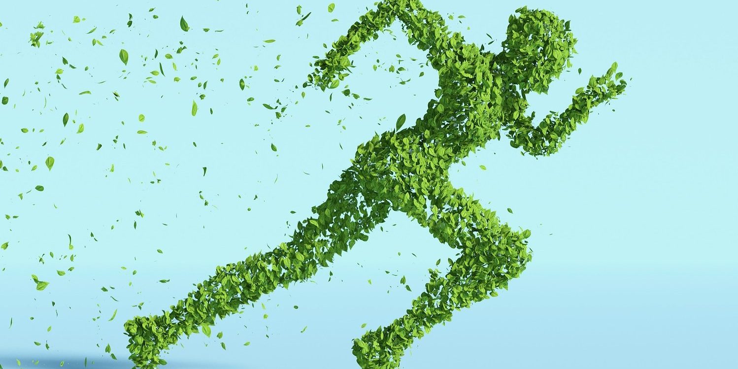 La importancia de los ecologistas