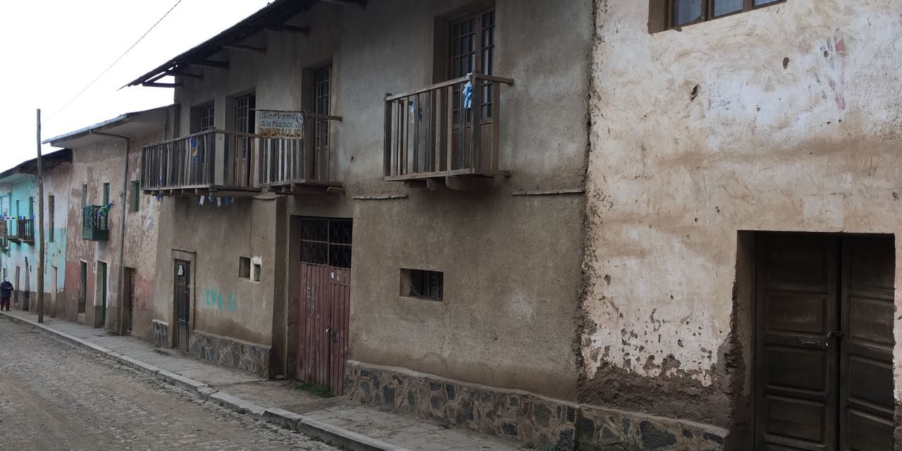Mi madre, un gato y la cataplasma de hojas de coca