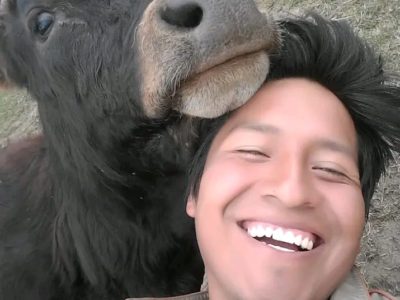 Santos junto a Rojito, el toro que crió en la comunidad de Tacagua, hogar de sus abuelos maternos. Foto familiar del actor.