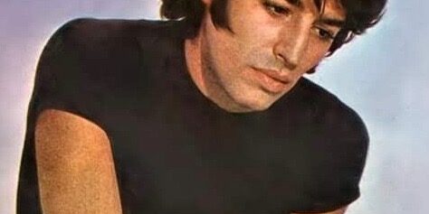 El cantante Sandro / Pinterest Argentina